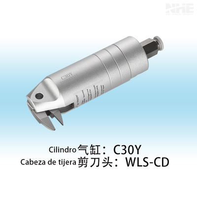 C30Y+WLS-CD