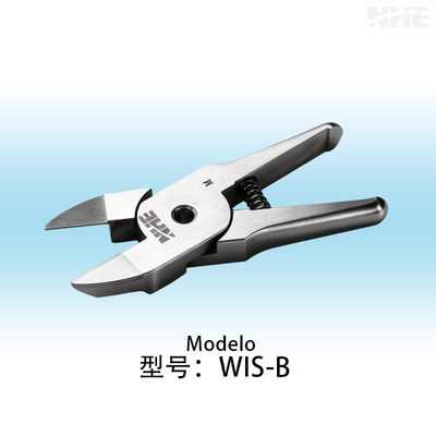 WIS-B
