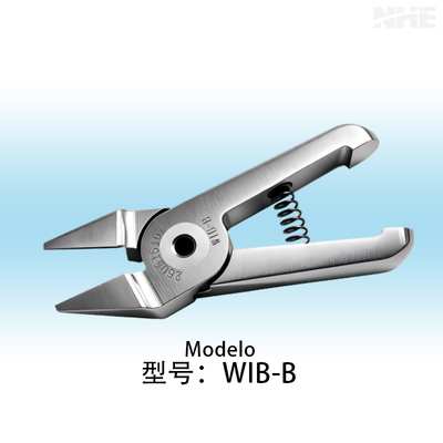 WIB-B